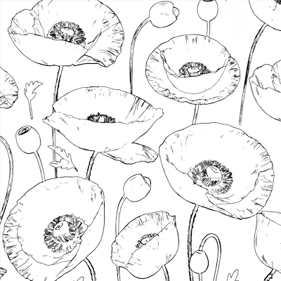 Sketcher creates botanical coloring pages for kids and adults.