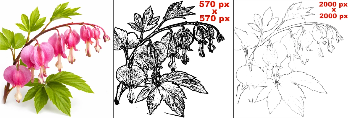 comparison on sketch lines of flower with low and high resolution results with reference photo in Sketcher.