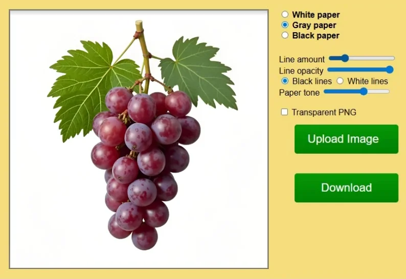 Webp animation showing Sketcher gray paper tone options with reference photo of grape.