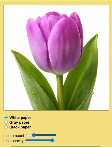 Mobile-optimized Webp animation of Sketcher app scales converting a photo to a sketch.