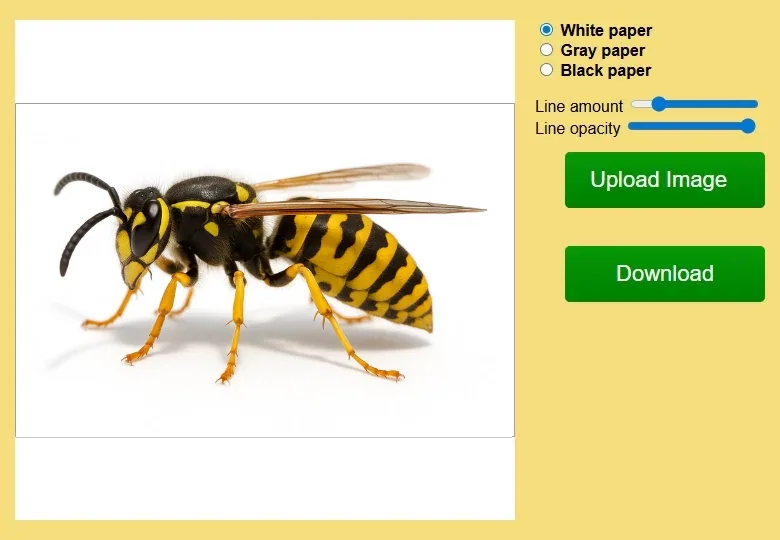 Webp animation showing Sketcher Jasmina Susak drawing a wasp insect with colored pencils, white paper option with reference photo of a wasp.