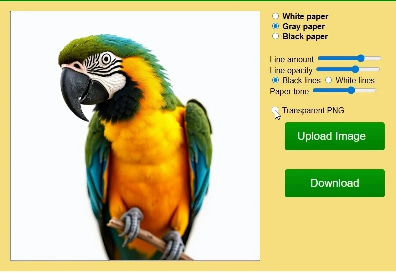 Webp animation showing Sketcher gray paper tone transparent background PNG option line colors and background with reference photo of a parrot.