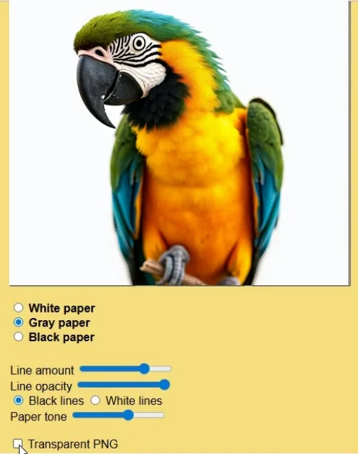 Mobile-optimized Webp animation of Sketcher app with gray paper transparent PNG option on a parrot reference photo.
